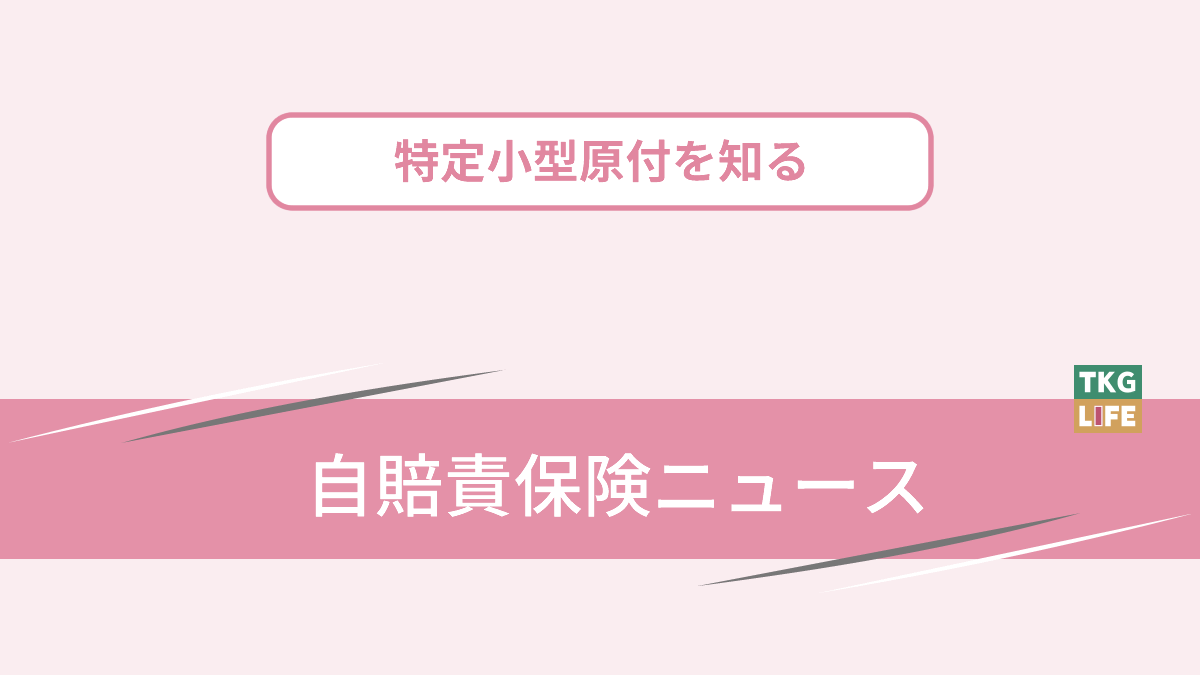 特定小型原付区分の新設で電動キックボードの保険料、来年4月から10％引き下げ